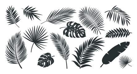 Tropical leaves silhouette clipart set. Leaf drawing icon and sign clip art collection like palm, fern, monstera and banana monochrome elements vector illustration.   © AmazeinDesign