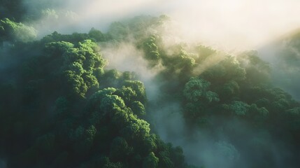 Lush green mountains with misty valleys, tranquil nature scenery highlighting serenity and beauty, perfect for relaxation themes.