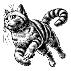 Beautiful cat in full-body, vector sketch, SVG, isolated on white background	