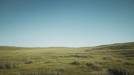 Obraz premium Serene grassy field, clear sky, gentle hills, peaceful landscape, nature background