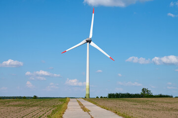 Fototapeta premium Wind turbine with red tipped blades stands beside cultivated wheat farmland and straight concrete road under clear blue sky evoking balance between human effort and natural resources