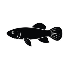 Killifish Silhouette Vector Art and Black Killifish Fish Design Illustration