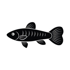 Killifish Silhouette Vector Art and Black Killifish Fish Design Illustration