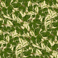 Seamless botanical pattern featuring green and cream leaves on light background