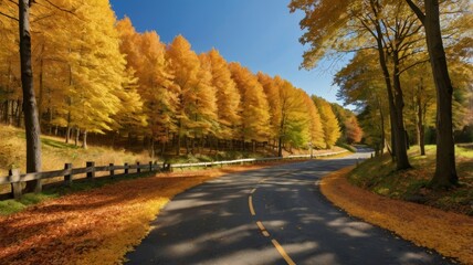Naklejka premium Autumnal Road Winding Through Golden Canopy