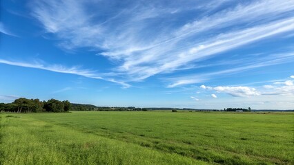 Obraz premium an empty open field with a clear blue sky