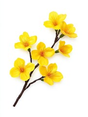Fototapeta premium Yellow Apricot Blossom Branch - A delicate branch of vibrant yellow apricot blossoms isolated on a white background. Perfect for spring themes.