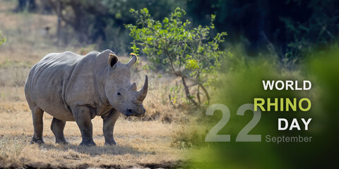 World rhino day © byrdyak