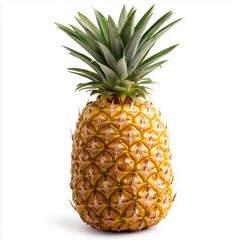 Pineapple Isolated on White Background
