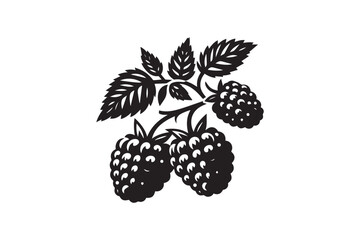 raspberry vector silhouette isolated in white background