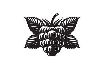 Obraz premium raspberry vector silhouette isolated in white background