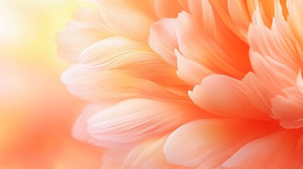 Obraz premium Soft Peach Blossom Petals Closeup Macro Photography