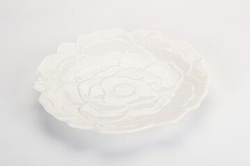 White ceramic empty plate dishware