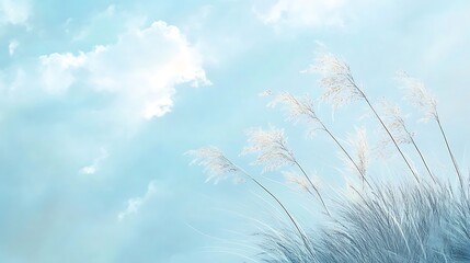 White Grass Blades Against a Blue Sky with Fluffy Clouds