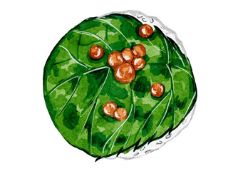 水彩で描いた和食の手毬寿司のシンプルな日本食のイラスト素材