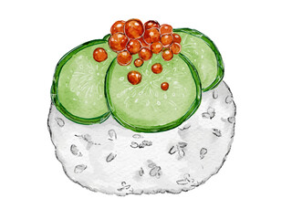 水彩で描いた和食の手毬寿司のシンプルな日本食のイラスト素材