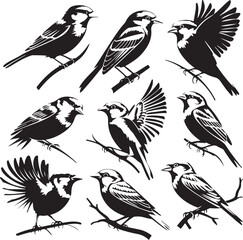 Birds icon silhouette illustration vector .