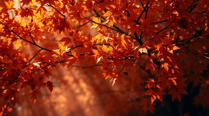 A photograph showcasing fractal foliage bathed in warm autumn colors, volumetric lighting, visible light beams through dust or fog, earthy and cozy ambiance.