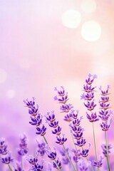 Naklejka premium Lavender Blooms Against Soft Pastel Background