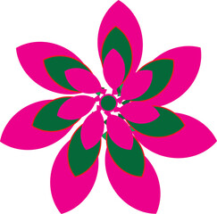 pink flower isolated on white background