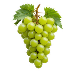 Fresh Green Grapes with Leaves on transparent background