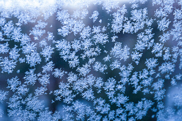 Detailed frost patterns on window glass creating a winter wonderland effect