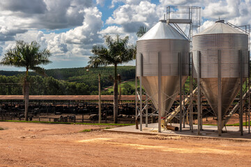 Metal silos for storage of grain to be used for the manufacture of feed to feed the animals on a farm for cutting grain in Brazil. Bovine breeding © AlfRibeiro