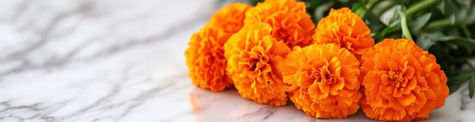 Vibrant orange marigolds on marble background.