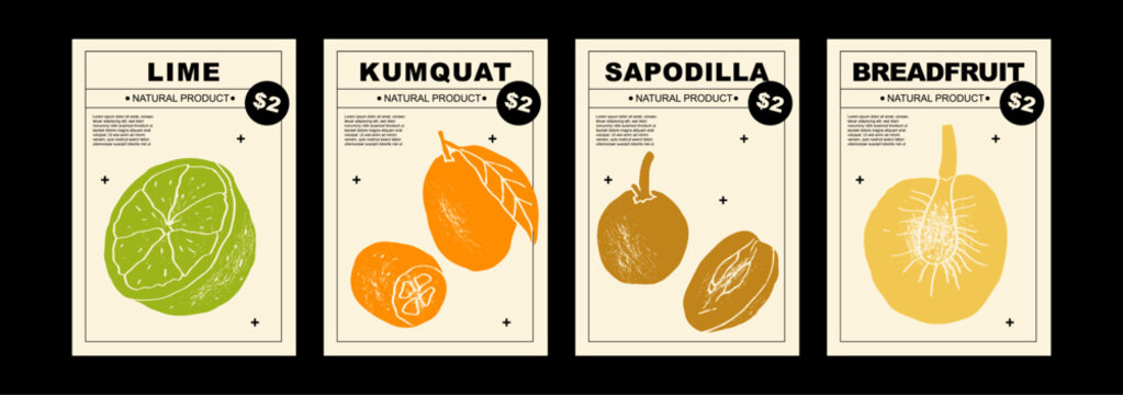 Lime, kumquat, sapodilla, breadfruit. Set of posters of fruits and citrus in a abstract draw design. Simple, flat design. Patterns and backgrounds. Perfect for poster, cover, banner.