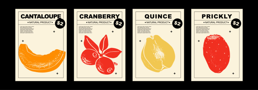 Cantaloupe, cranberry, quince, prickly. Set of posters of fruits and citrus in a abstract draw design. Simple, flat design. Patterns and backgrounds. Perfect for poster, cover, banner.