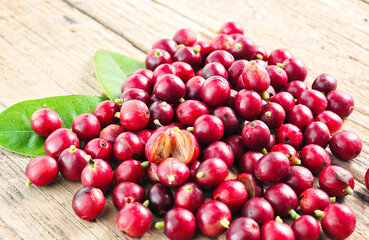 Fresh red coffee beans on wooden