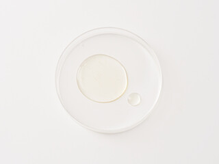 cosmetics placed in the sunlit area