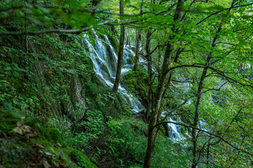 Waterfalls in the forest flowing into lakes. Tourists visit famous Plitvice park in Croatia. Mountain streams with clear water. Waterfalls of Plitvice Lakes on a summer day.