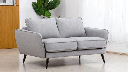 Gray Two Seater Sofa In Modern Living Room