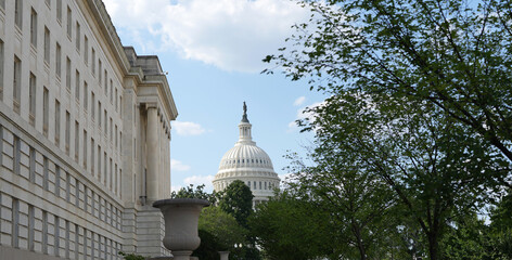 United States Capitol Building - Washington DC United States. American congress.