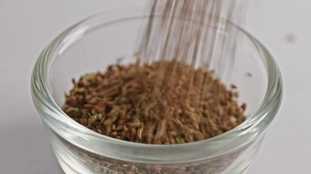 carom seeds or ajwain falling in small glass bowl, 4k, stable shot