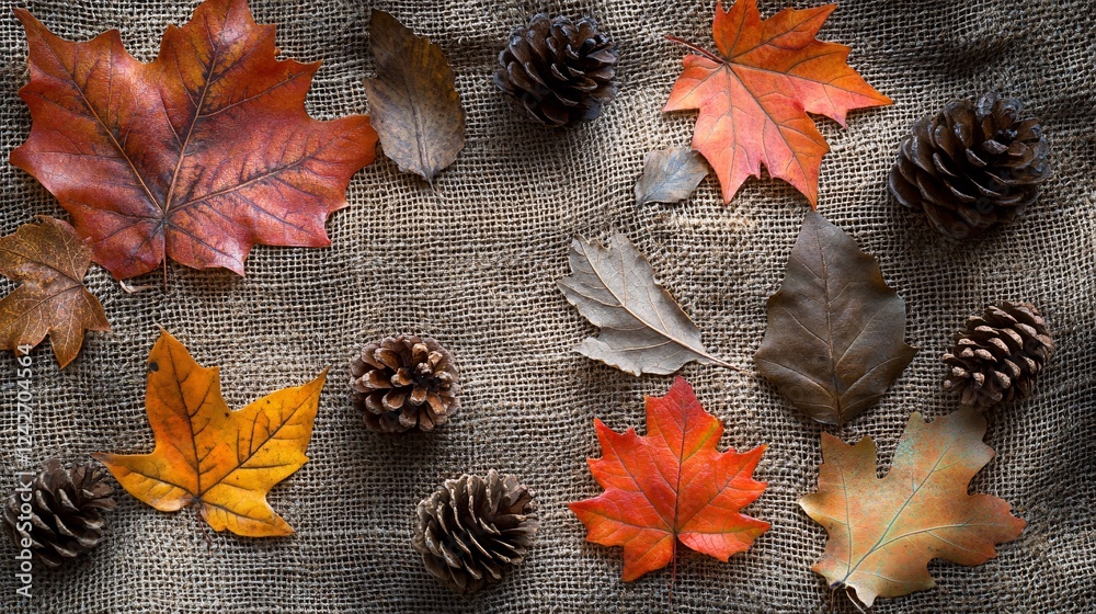 Poster cozy autumn still life with colorful maple leaves and pine cones on a burlap background