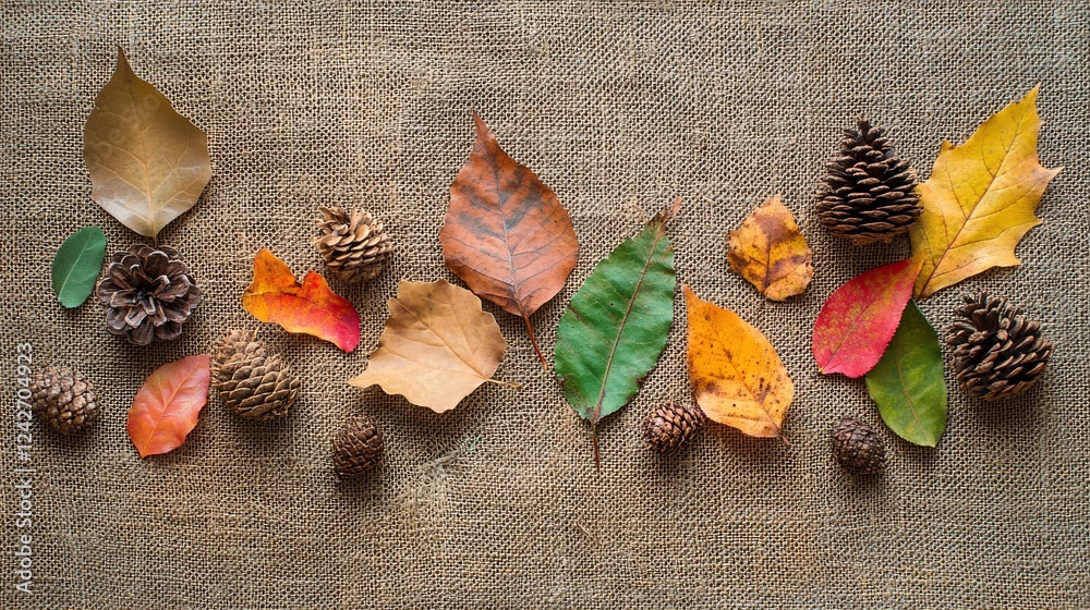 Aufkleber Neat line of colorful autumn leaves and pine cones is lying on a burlap surface