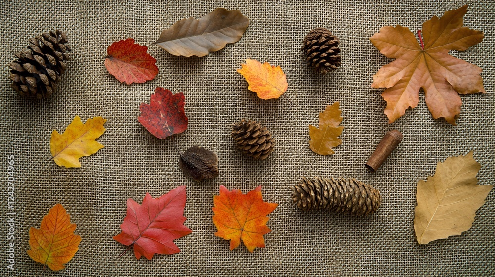 Poster colorful autumn leaves and pine cones forming a frame on a burlap background