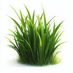 Lush Green Grass Patch Growing Vibrantly in Natural Environment