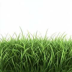 Fototapeta premium Lush Green Grass with Soft Blades Against a White Background