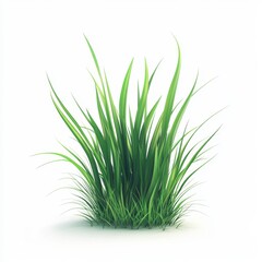 Lush Green Grass Texture Isolated on White Background for Design