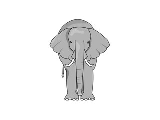 アフリカ野生動物のビッグ5、牙が生えてる象