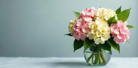 Fototapeta premium Hydrangea blooms in a vase with fresh greenery, hydrangea bouquet, greenery, summer flowers
