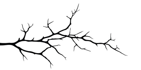 Vector drawing of a dry twig isolated on a white background, branch outline without leaves