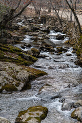 flowing stream in the valley