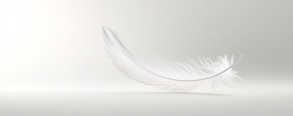 Obraz premium Single white feather floating on white background