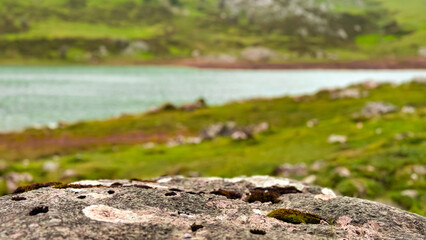 Serene lakeside landscape with mossy rocks and verdant hills