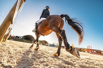 Spectaculaire contre-plongée d'un cavalier et de son cheval en plein mouvement sur un terrain de...