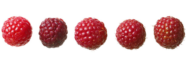 Five Red Raspberries on White Background
